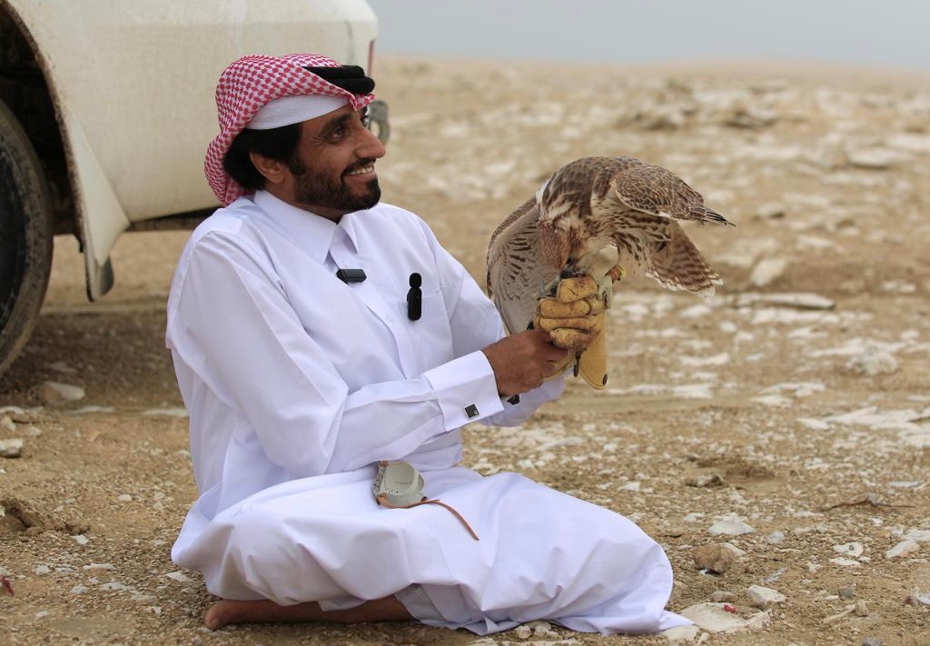 لوسيل