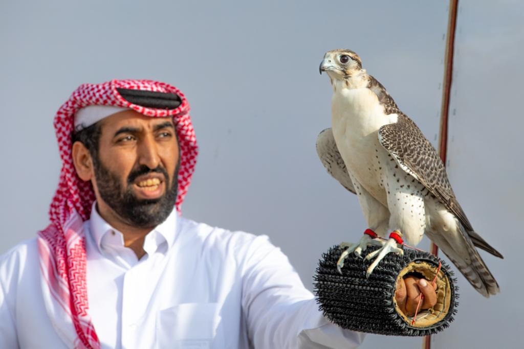 لوسيل