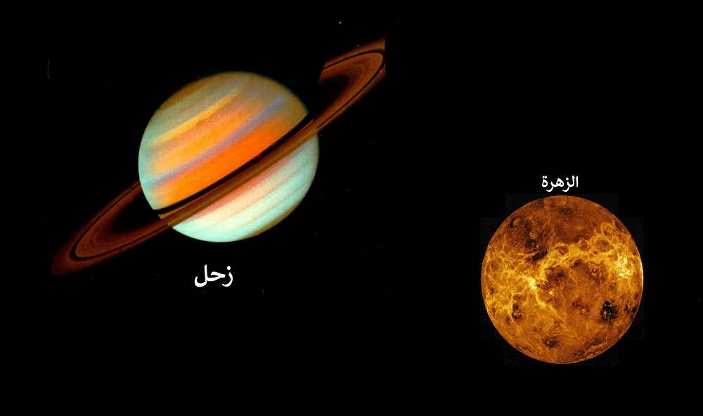 لوسيل