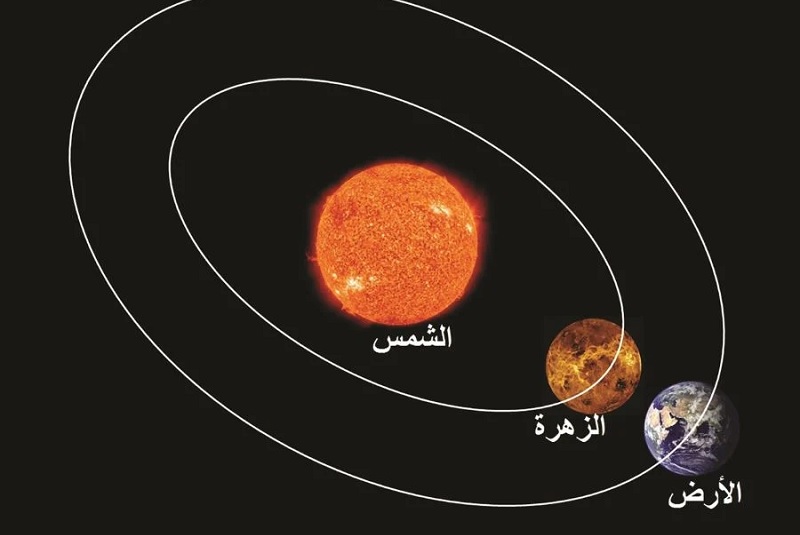 لوسيل