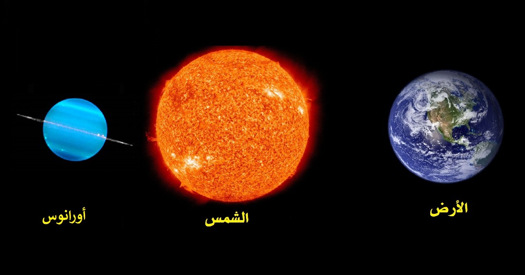 لوسيل