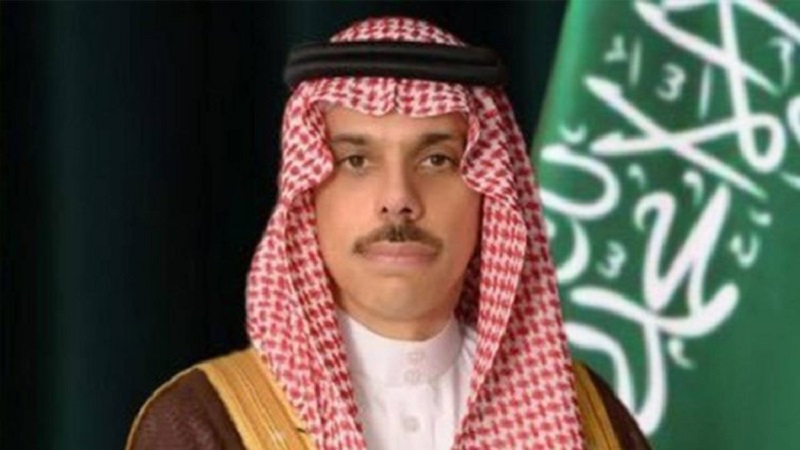 لوسيل