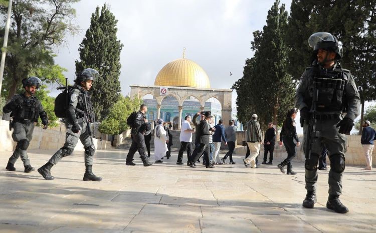 لوسيل