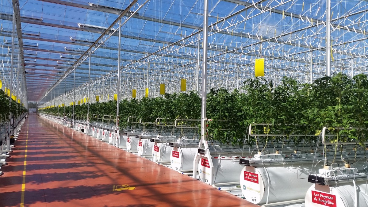 ‫ خبراء ورجال أعمال: ندعو للمساواة في تطبيق معايير لظبط الجودة بين المنتج المحلي والمستورد