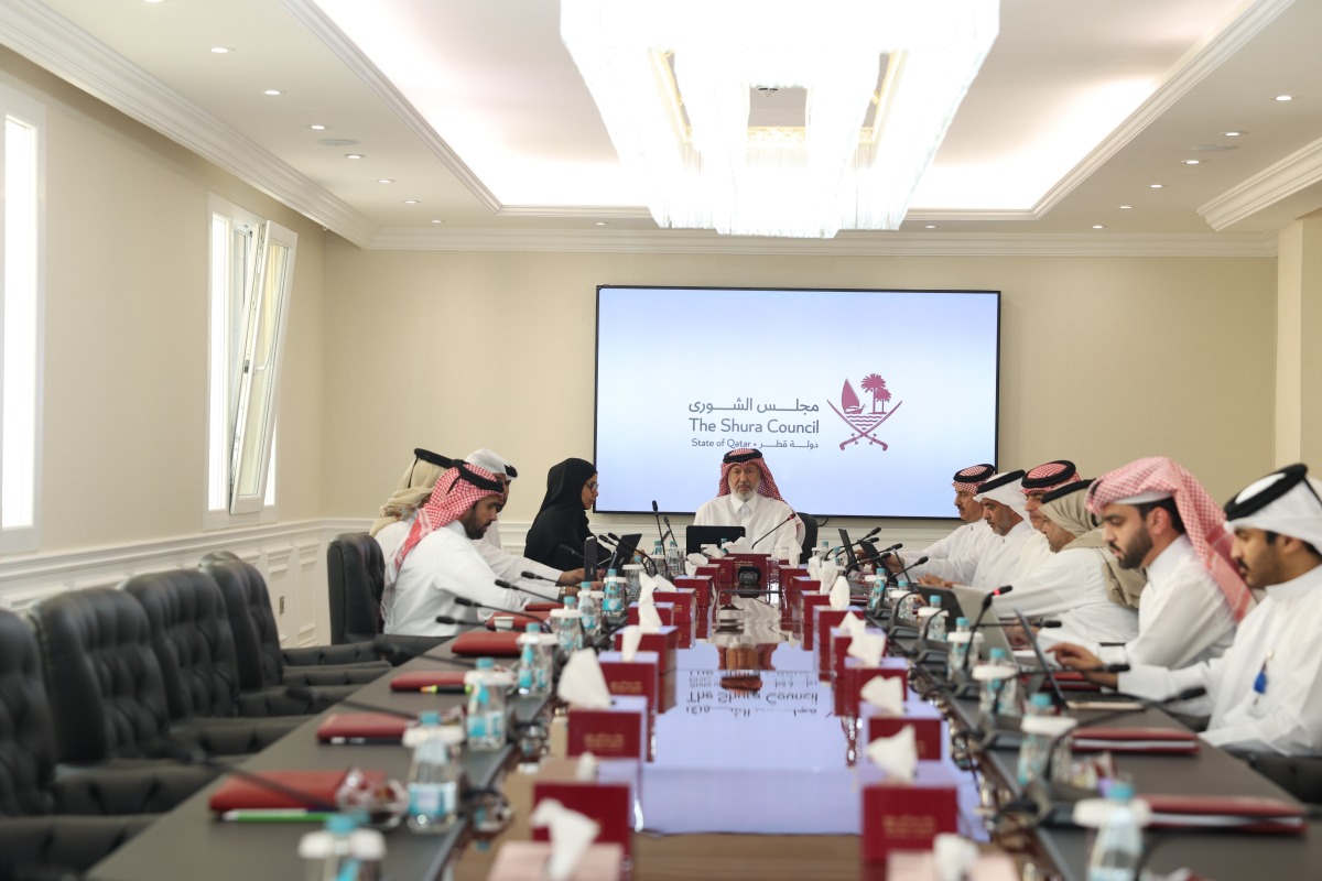 لجنة الشؤون المالية والاقتصادية تنهي دراسة قانون المخزون الاستراتيجي