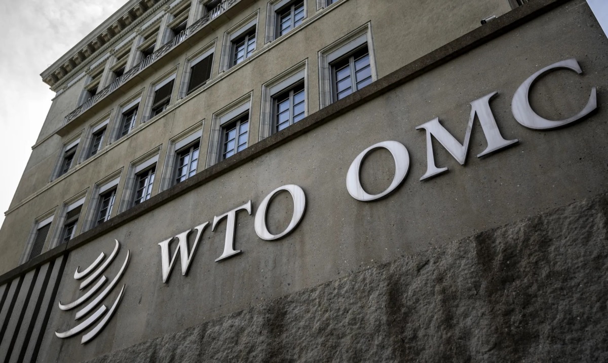 إن فشل محادثات منظمة التجارة العالمية يهدد التجارة الرقمية والاقتصاد العالمي